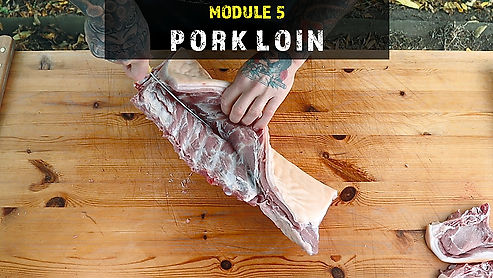 Mod5_Pork Loin